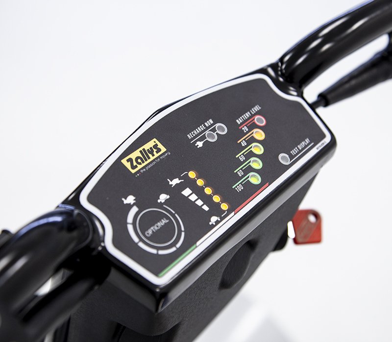 Battery electric vehicle S1 (1)