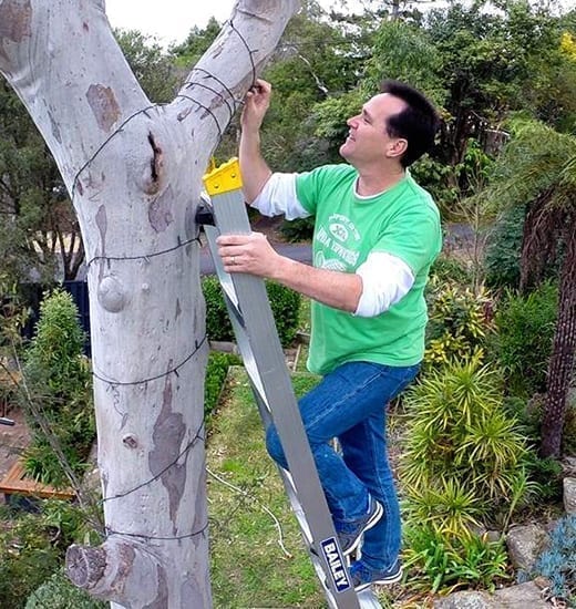 Dual Purpose Ladder Pro AL with Tree Pole 6