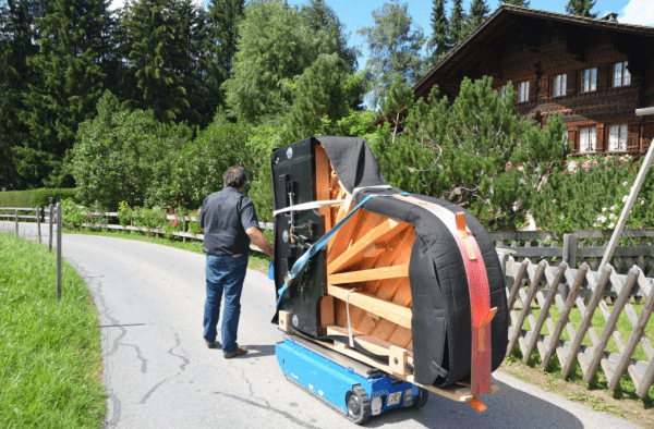 E Z Climber Speedy Standard Application 3